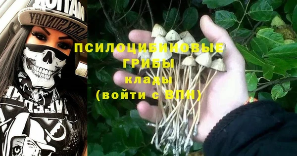 mdma Богородицк