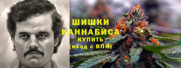 mdma Богородицк