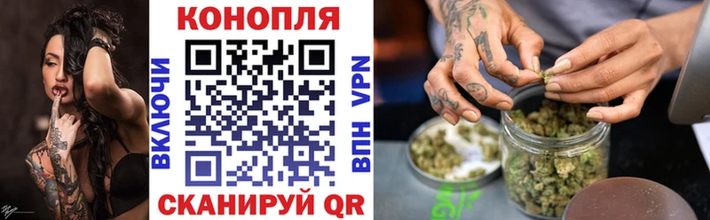 Бошки марихуана план  где продают наркотики  Тихорецк 